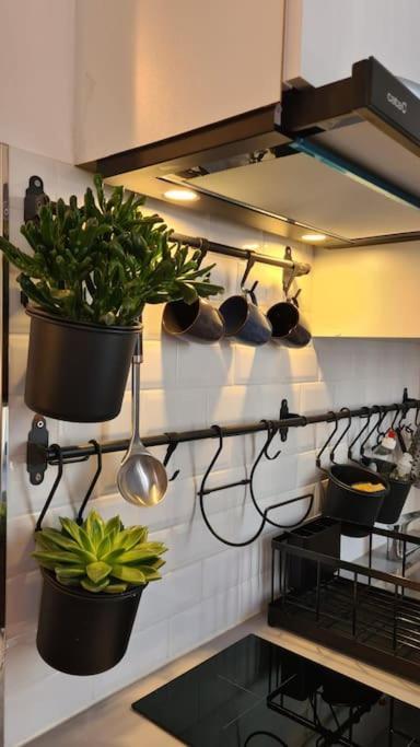 Beau Studio A 30M De La Plage / Beautiful Studio 30M From The Beach Trouville-sur-Mer Ngoại thất bức ảnh